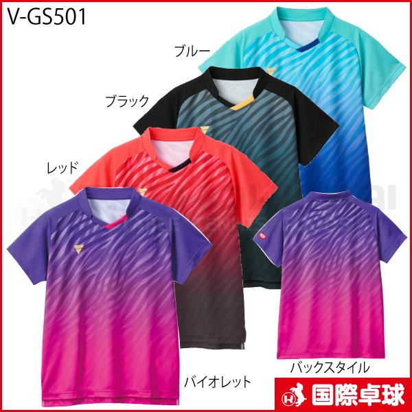 V-GS501