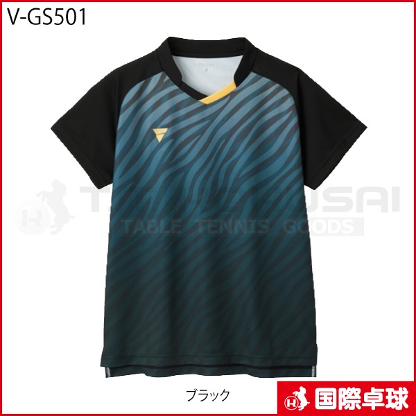 V-GS501