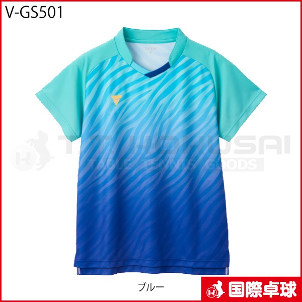 V-GS501