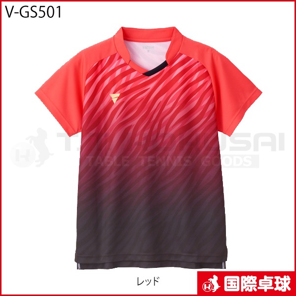 V-GS501
