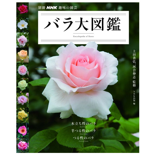 書籍 バラ大図鑑 別冊nhk趣味の園芸 書籍 コマツガーデンオンラインショップ