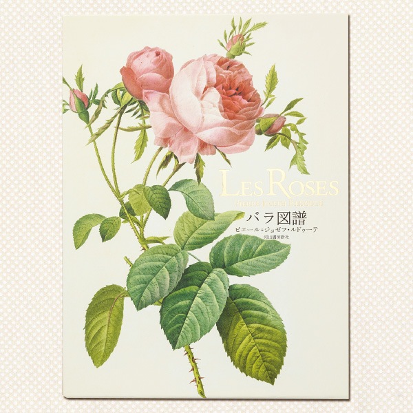 書籍】Les Roses バラ図譜 原寸大復刻・豪華愛蔵版 | 書籍 | コマツガーデンオンラインショップ 書籍】Les Roses バラ図譜 原寸大復刻・豪華愛蔵版 | 書籍 | コマツガーデンオンラインショップ