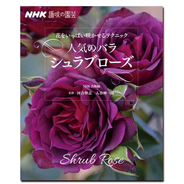 ｎｈｋ趣味の園芸 花をいっぱい咲かせるテクニック 人気のバラ シュラブローズ 書籍 コマツガーデンオンラインショップ