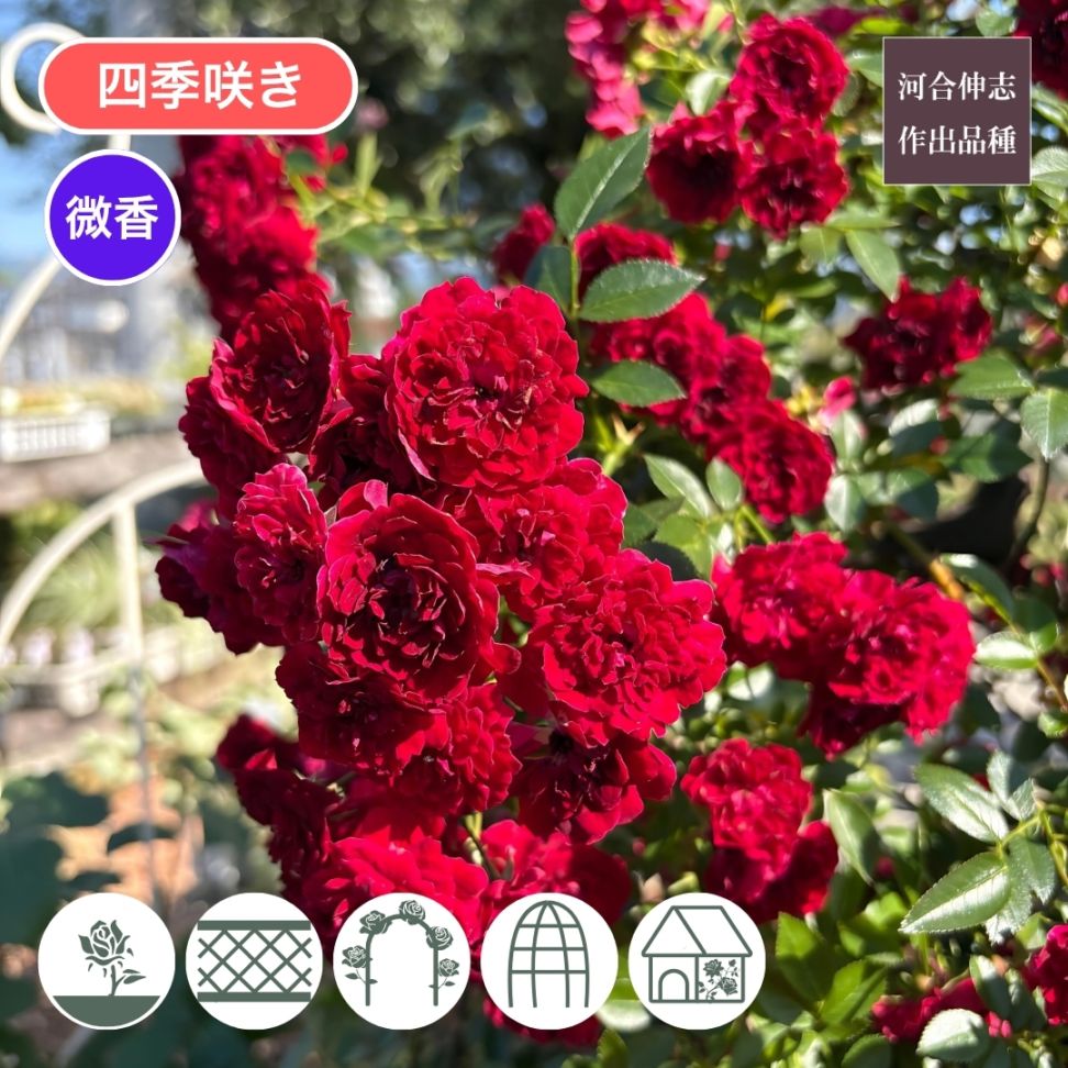伸芽会　赤本　58冊（バラ売り可） 2025年最新】伸芽会の人気アイテム - メルカリ