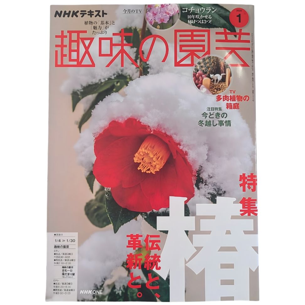 植物枝盛集 全10巻 書籍 送料無料 NHK 趣味の園芸 2026年 1月号 最新号 | 書籍 | コマツ