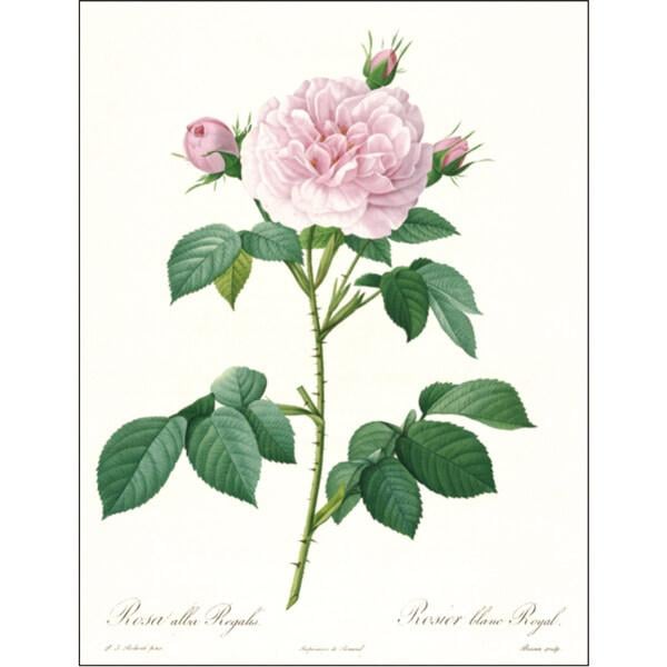 雑貨 2026年 ルドゥーテカレンダー(壁掛け) ばらの香り付 | 雑貨