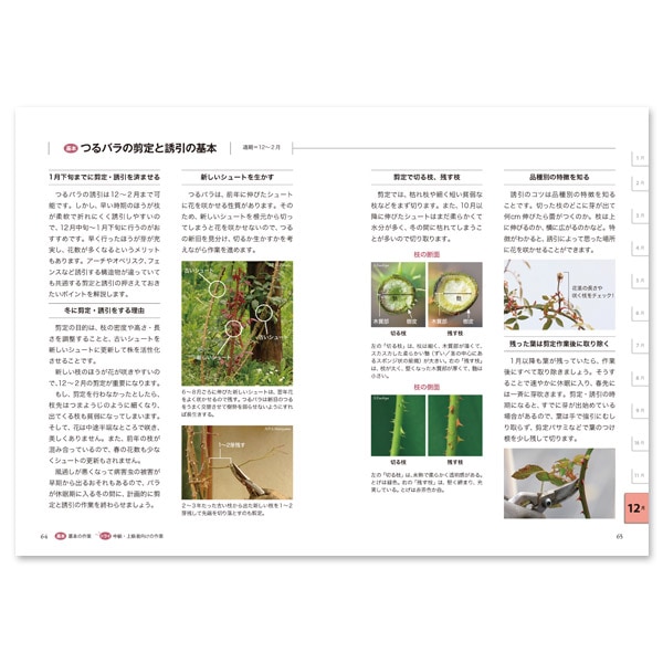 書籍 NHK 趣味の園芸12か月栽培ナビ⑧つるバラ後藤みどり著