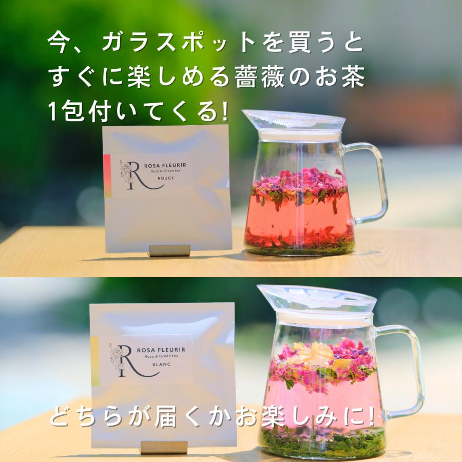 ガラスポット ミニ 手軽に使える ふたがフィルターに ローズティーに