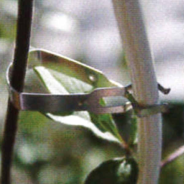 資材 小枝ささえプレートタイプ | その他・園芸用品 | コマツガーデン