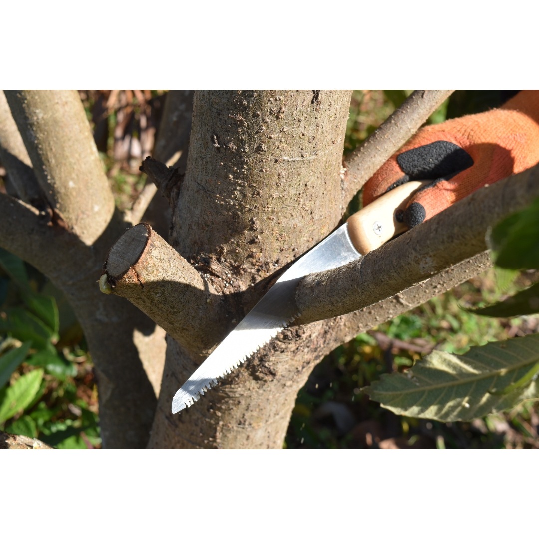 資材 ウッドスリム PRO 本体 小型ノコギリ 枝の整理に最適 女性にも