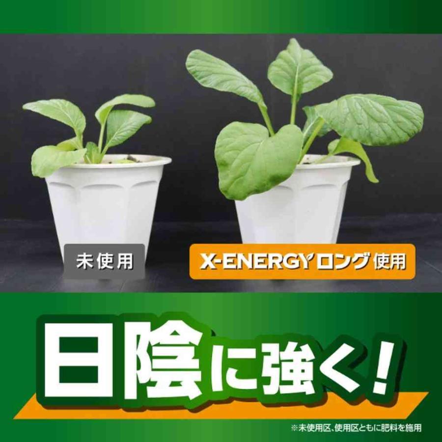 資材 X-ENERGY ロング 粒タイプ 700g エックスエナジー | 土・肥料
