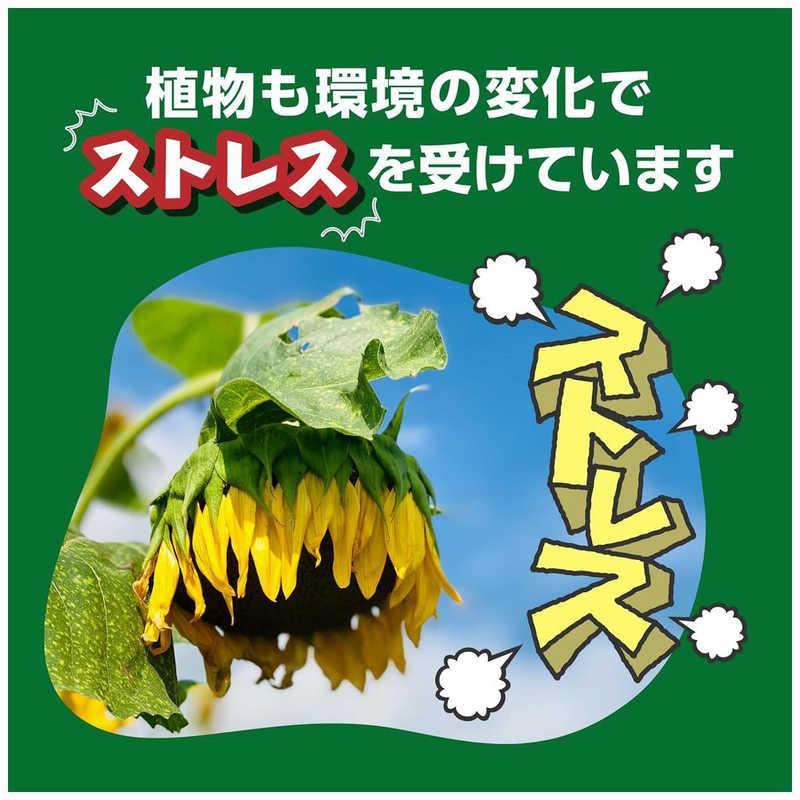 資材 X-ENERGY エックスエナジー 600ml 植物活力液 | 土・肥料・薬剤