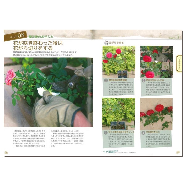 書籍 美しく咲かせる 鉢バラ 育て方のポイント後藤みどり著 | 書籍