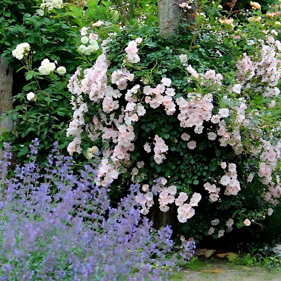 048.049.050以外のカードです バラ売り❌ 048.049.050以外のカードです バラ売り❌ resale…and？？🤎 【 KNIT