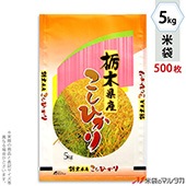 ���� �ݥ�ݥ� �ͥ��֥쥹 ���ڻ������Ҥ��� �̸� 5kg�� 1������(500����) MP-5217