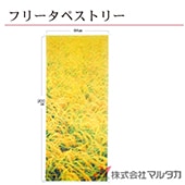 �ե꡼���ڥ��ȥ꡼�ʰ���� ���� F-6002