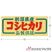 ��٥� �����ҥ��� ���㸩�� 1000�祻�å� ���� L-301