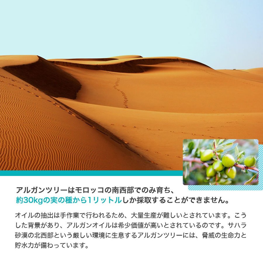 アルガンオイル 洗い流さない トリートメント ヘアオイル ボタニカルオイル アウトバス モロッコ アルガンオイル ヘアトリートメント 100mL