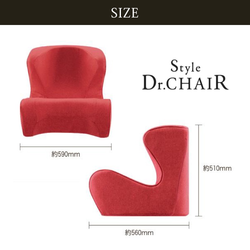  Style Dr.CHAIR  ɥ