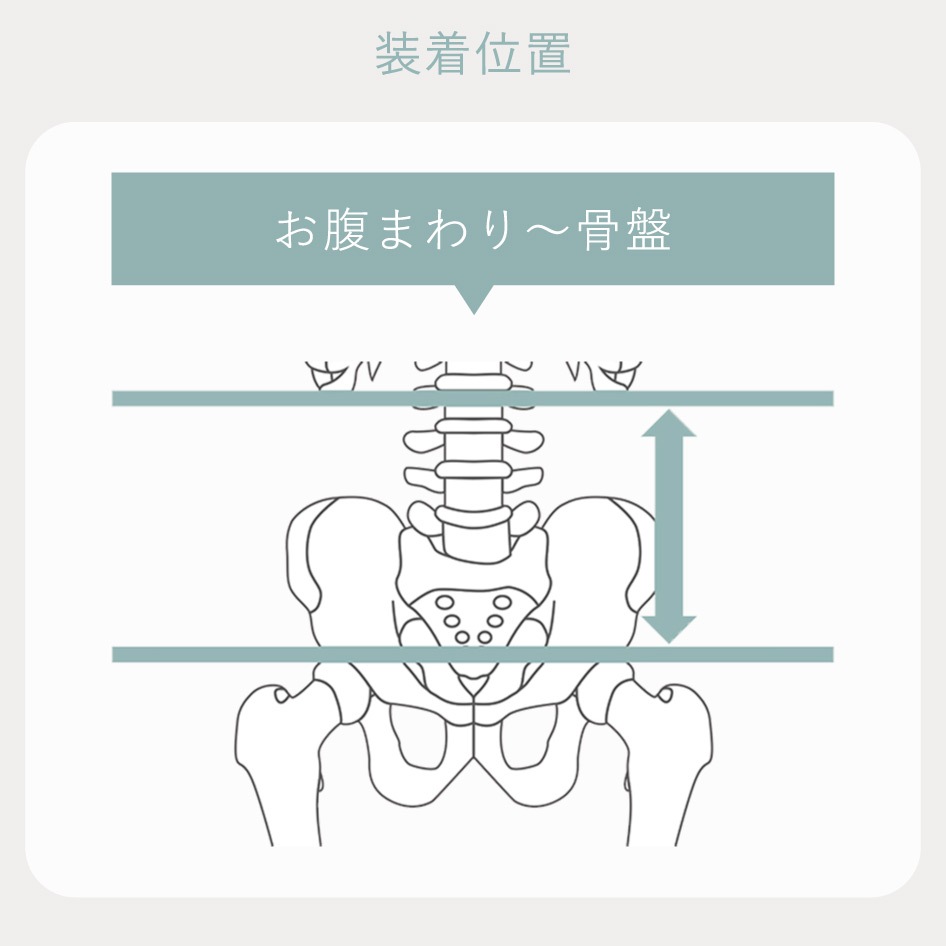 Style Lumbar Active ���С������ƥ��� MTG