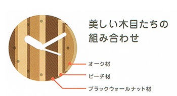 PLAM Х륹 ӥ ʥå/ ̵ ƥꥢ HIDAKAGU