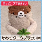 �ե�ե⤵�󡡤���⡡�������֥饦��M