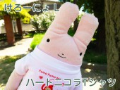 եե⤵󡡥ϡȥ˥Tġ Lˡ  İΤ̤ߡʥ ץ쥼Ȥˤ⡡  GReeeeNPVˤо! 