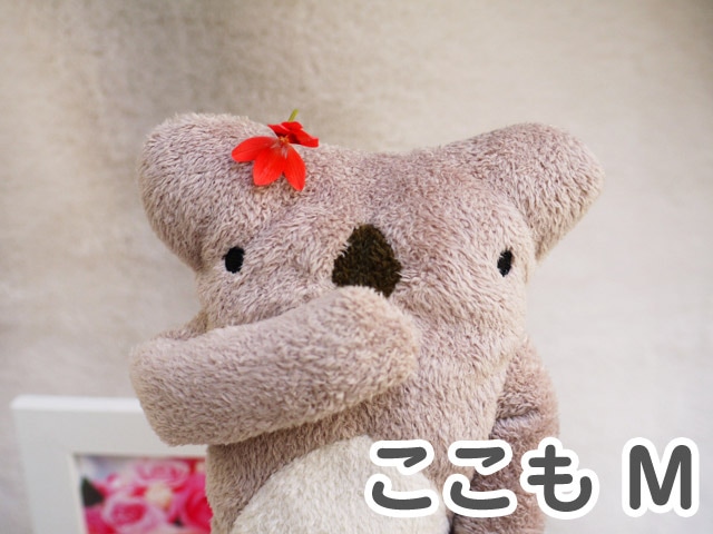 �����о���ե�ե⤵�� ������ʥ��ԥ���M��