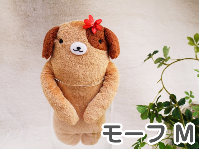 �����о���ե�ե⤵�� �⡼�� �١�����������M