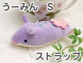 �����ߤ� ���ȥ�å�(��) ���ʥ��� �ץ쥼���  �̤������ ���å� ���� ���ȥ�å�(���襤�� ���⤷�� �������ץ쥼��� ��� ���� ��ͧã��)