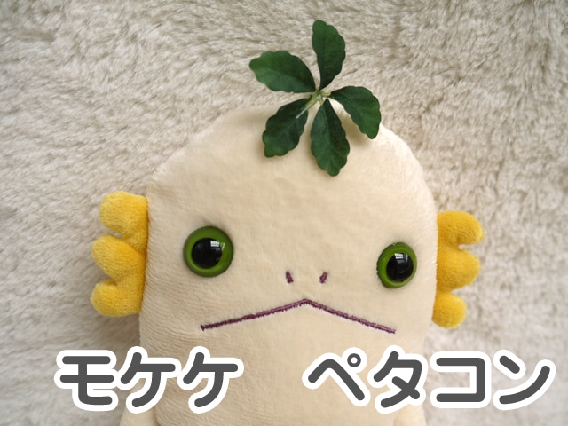 モケケ ペタコン S 話題のキモカワ系ぬいぐるみ へんてこひょろなが宇宙人 シナダ製 プレゼントにも ぬいぐるみ 抱き枕や雑貨販売 癒しの通販フモフモランド