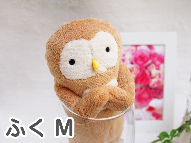 �����о���ե�ե⤵�� �դ������㡦M��