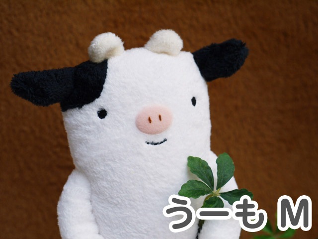 �����о���ե�ե⤵�� ������ ��M��