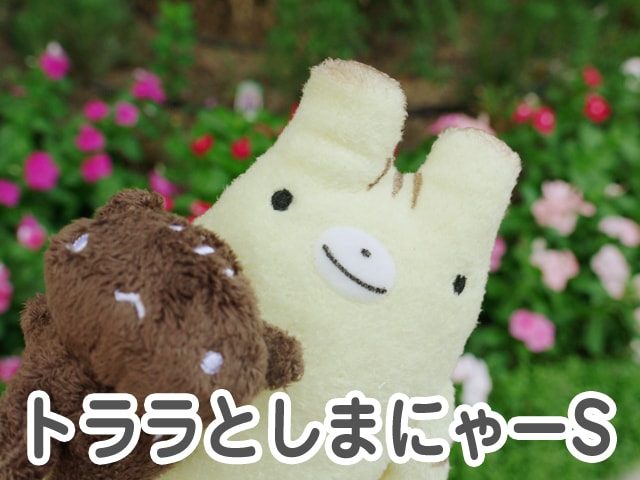 フモフモさん バンダナ お好きな文字 フモフモさん トララとしまにゃー(S) 可愛い癒しのぬいぐるみ