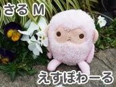 �����ݤ�� ���� �ԥ� M ���ʥ����� �ץ쥼��Ȥˤ⡡  