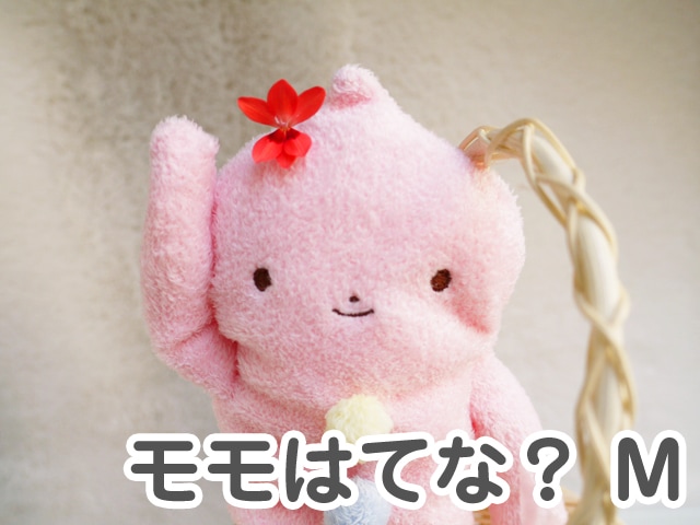 �ե�ե⤵�� ���ϤƤʡ� �ʥԥ󥯡�M�� �İ��������Τ̤������ ���ʥ��� GReeeeN��PV�ˤ��о� �ʤ��襤�� ���⤷�� �̤������ ���å� �� �������ץ쥼��� ���ե� £��ʪ �ˡ� ��� ���� ���λ� ��ͧã �ץ쥼��� �˺�Ŭ) 