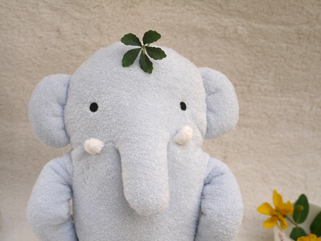 新品・タグ付き】フモフモさん ☆ まはも (L) 飛行機希少