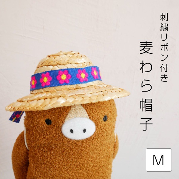 �ɽ���ܥ��դ������˹�ҡ�M�������ѡ�2018��