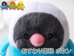 ����������¥ܥ���