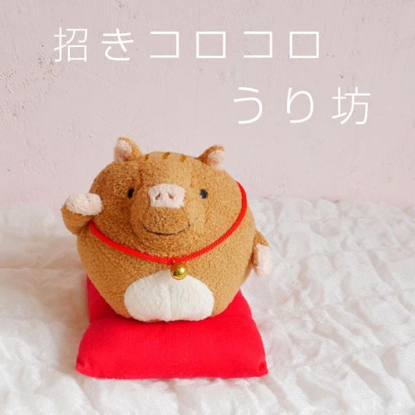 うり坊様 000000001254_0pJUAoZ.jpg