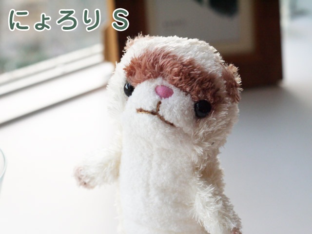 ˤʥܥ꡼S Hug collection  ʥ ץ쥼Ȥˤ⡡  ˰١ïǤ⵭˻Ĥ̤ߤȤνв񤤤 