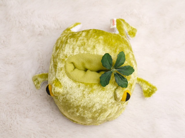 �ɥ󡦥������͡��������å�����ɡ�  ���ʥ����� �ץ쥼��Ȥˤ⡡ 