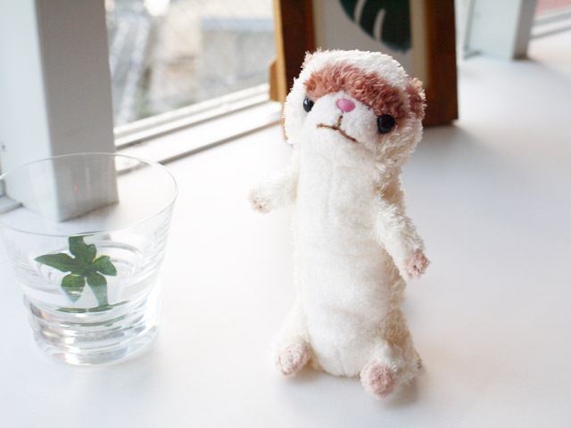 ˤʥܥ꡼S Hug collection  ʥ ץ쥼Ȥˤ⡡  ˰١ïǤ⵭˻Ĥ̤ߤȤνв񤤤 