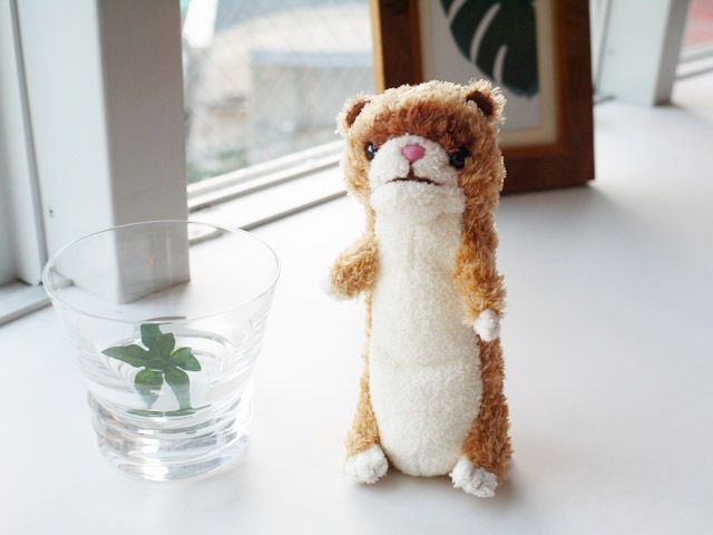 �ˤ����ʥ֥饦��S�� Hug collection��  ���ʥ����� �ץ쥼��Ȥˤ⡡  �����˰��١�ï�Ǥ⵭���˻Ĥ�̤�����ߤȤνв񤤤����� 