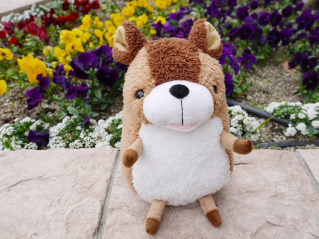 baby nature �٥��ӡ��ʥ���� ������(�֥饦��M) �İ���ưʪ���֤���󤿤��Τ̤������ �٥��ӡ����ȥ�å� ���ʥ��� �ץ쥼��� �ץ쥼��� ���ե� �̤������ ���å� ���� ���ȥ�å�(���襤�� ���⤷�� �������ץ쥼��� ��� ���� ��ͧã��)