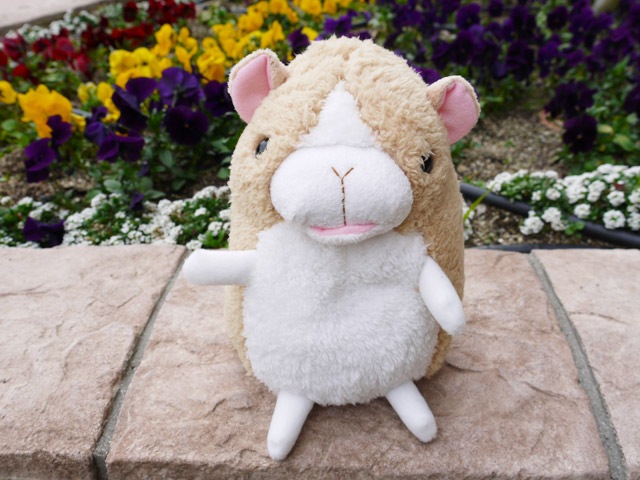baby nature �٥��ӡ��ʥ���졡 �ϥॹ�����ʥ١����塦M�ˡ�  �İ���ưʪ���֤���󤿤��Τ̤������ �٥��ӡ��ʥ���졡���ʥ����� �ץ쥼��Ȥˤ⡡  �ץ쥼��� ���ե�