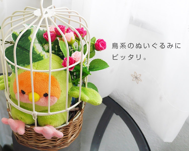 ֤ɤˤʤĻեȥåȡפäȶäץ饤ץ쥼Ȥ