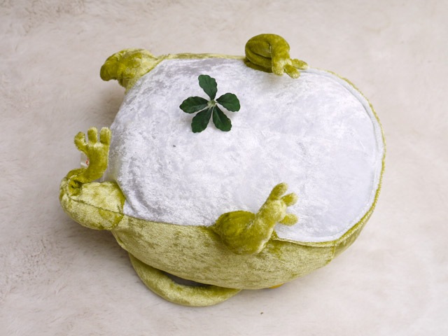 �ɥ󡦥������͡��ݡ���  ���ʥ����� �ץ쥼��Ȥˤ⡡ 