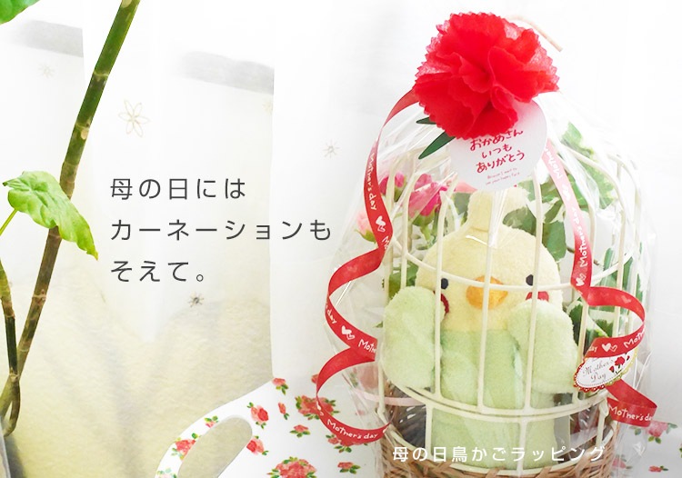 ֤ɤˤʤĻեȥåȡפäȶäץ饤ץ쥼Ȥ