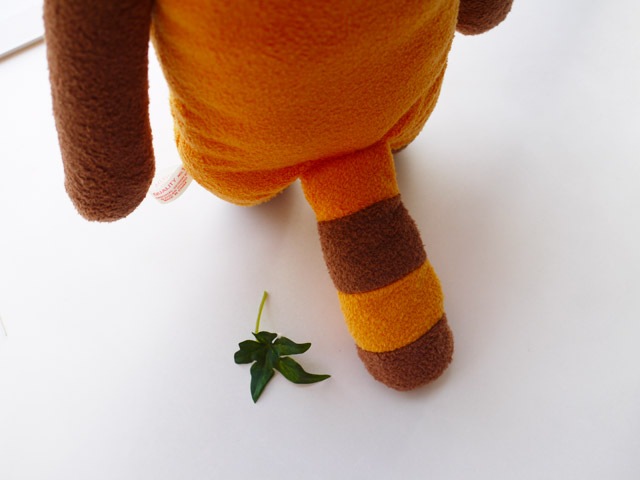 �ե�ե⤵�󡡥���� �ʥ���󥸡�L�ˡ�  �İ��������Τ̤�����ߡ����ʥ����� �ץ쥼��Ȥˤ⡡  GReeeeN��PV�ˤ��о�!